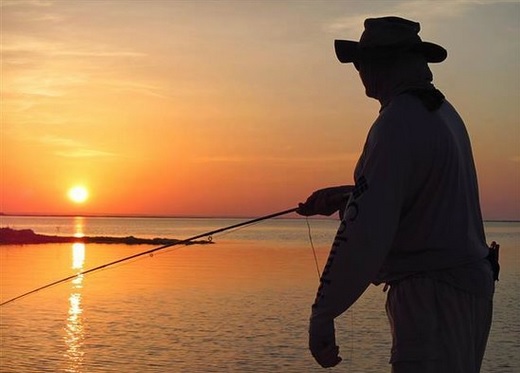 Gallery image for The African Angler